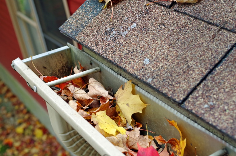 Dirty Gutters Can Lead To Roof Damage And More