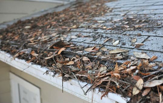Troy Michigan Unclogged Your Gutters