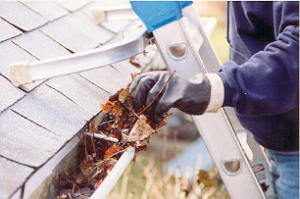 Fall Gutter Cleaning Tips